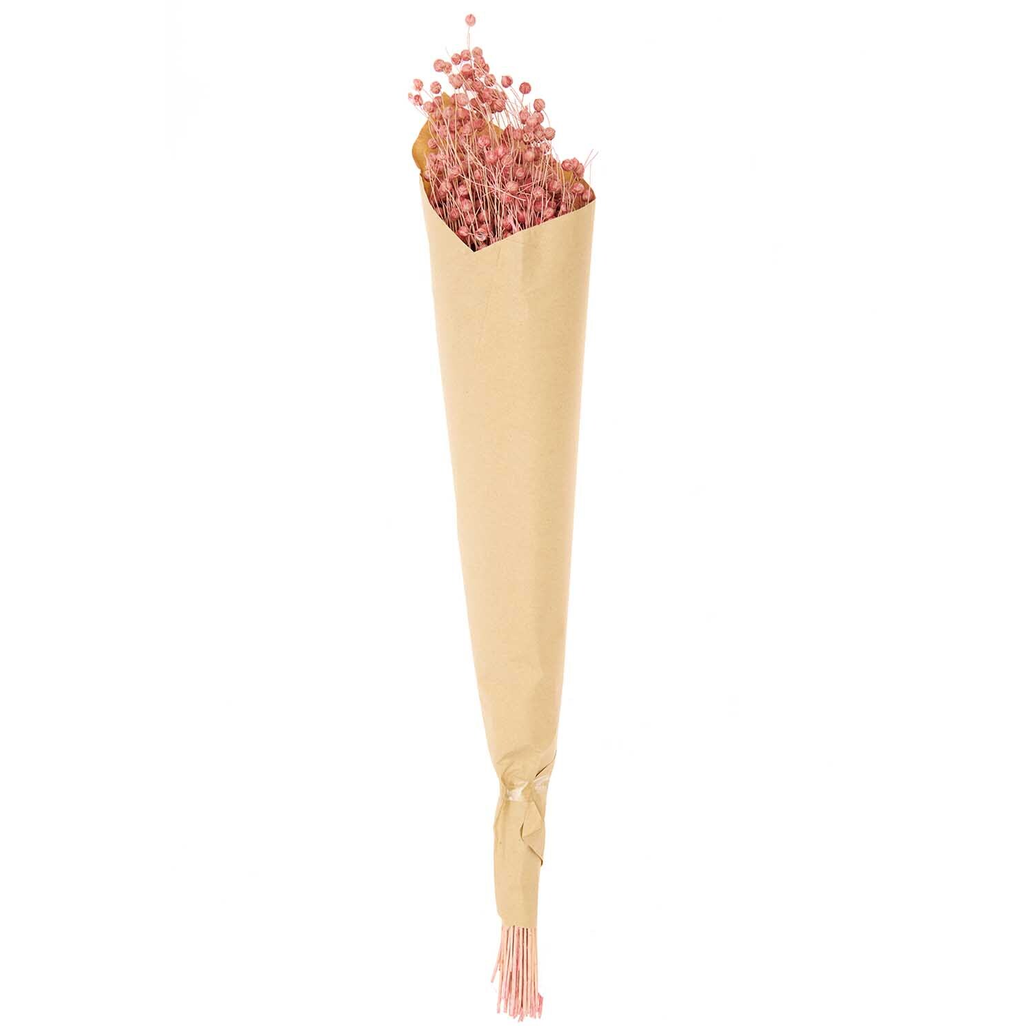 Getrockneter Flachs pink 60-75cm 100g von Rico Design