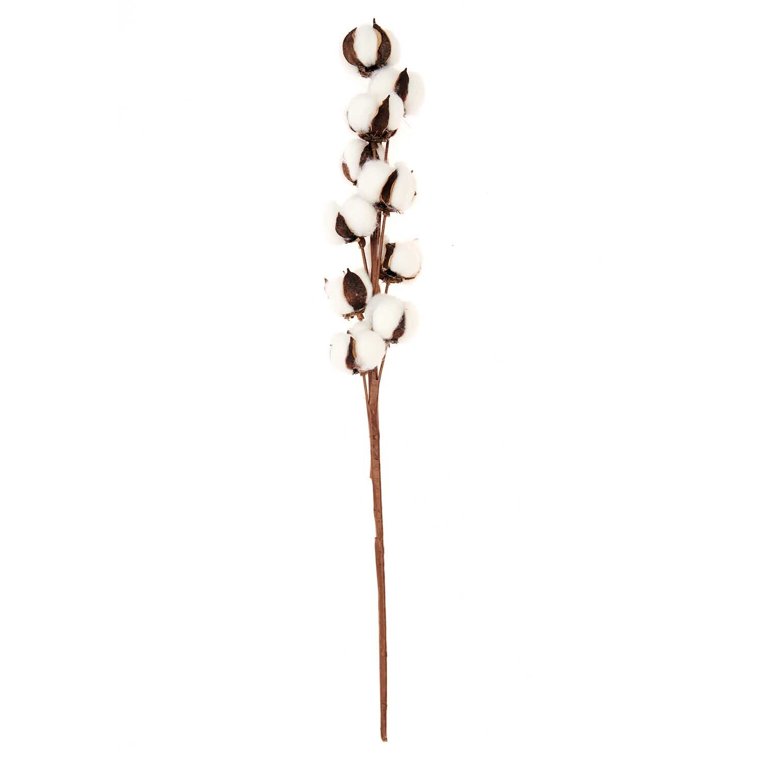Baumwollzweig 70cm 10 Blüten 1 Stück von Rico Design Baumwollzweig mit 10 weißen Blüten, 70 cm lang, von Rico Design. Ideal für Dekorationen.
