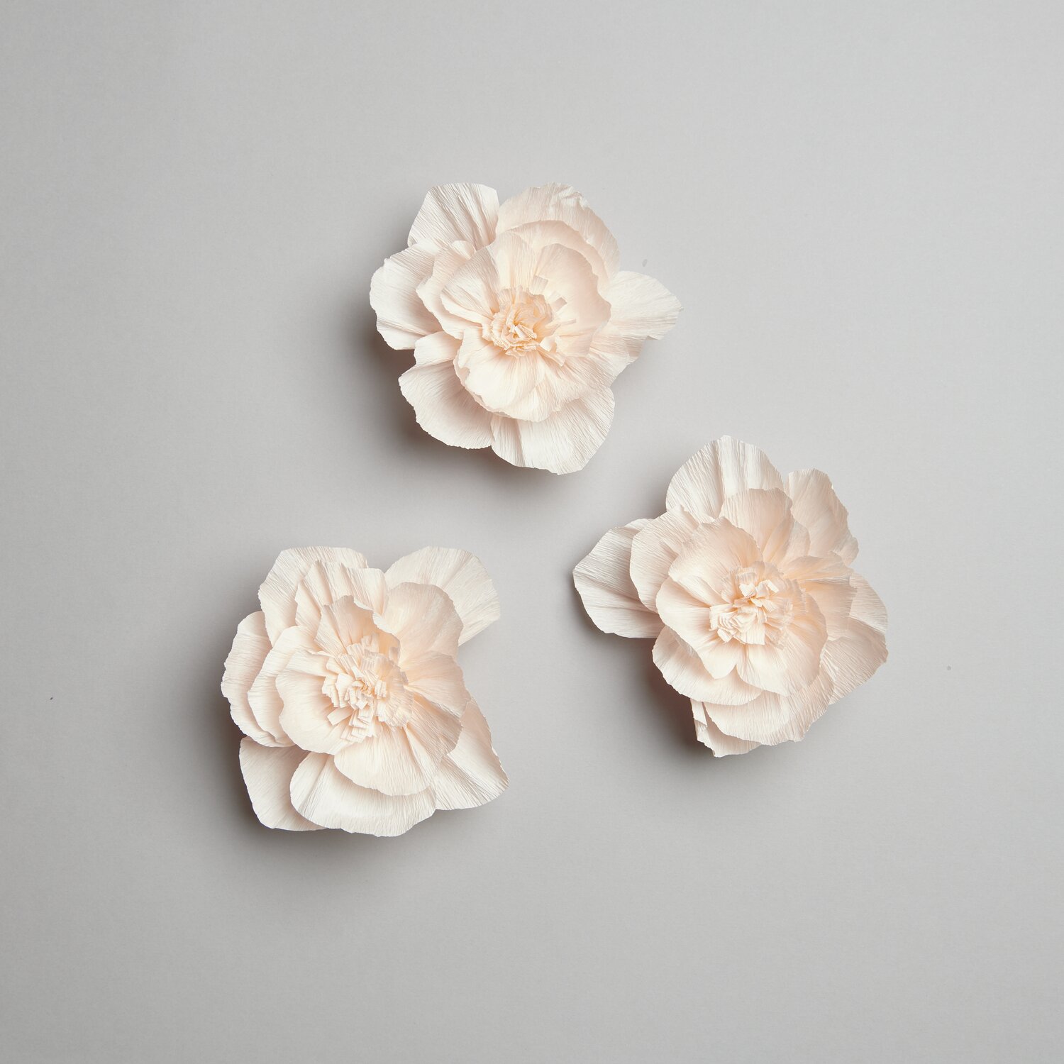 Krepppapier Blüten, Ø12cm, 3 Stück, in sanftem Pfirsichton von Rico Design auf grauem Hintergrund.