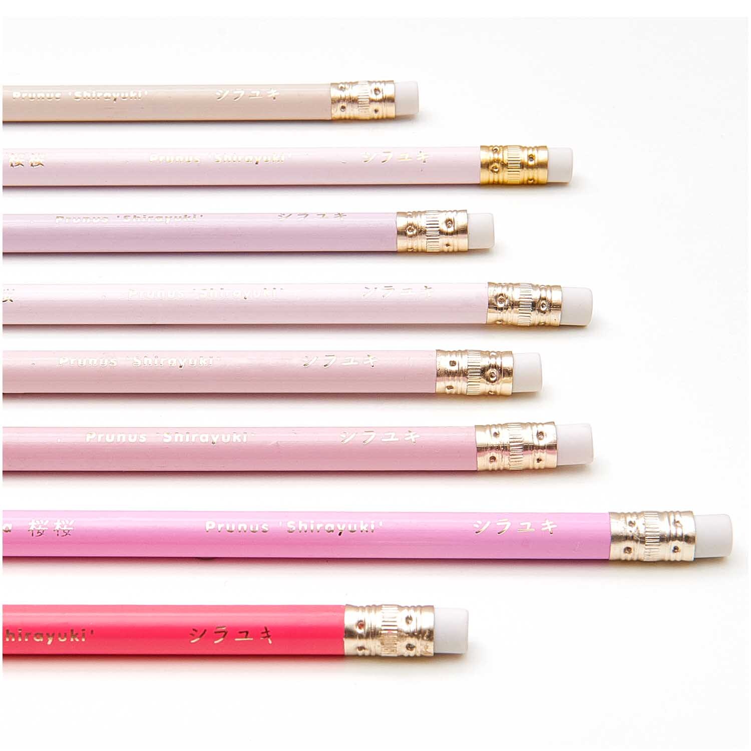 Paper Poetry Bleistifte All shades of Sakura 8er-Set von Rico Design Paper Poetry Bleistifte All shades of Sakura 8er-Set in Rosa von Rico Design, elegant arrangiert.