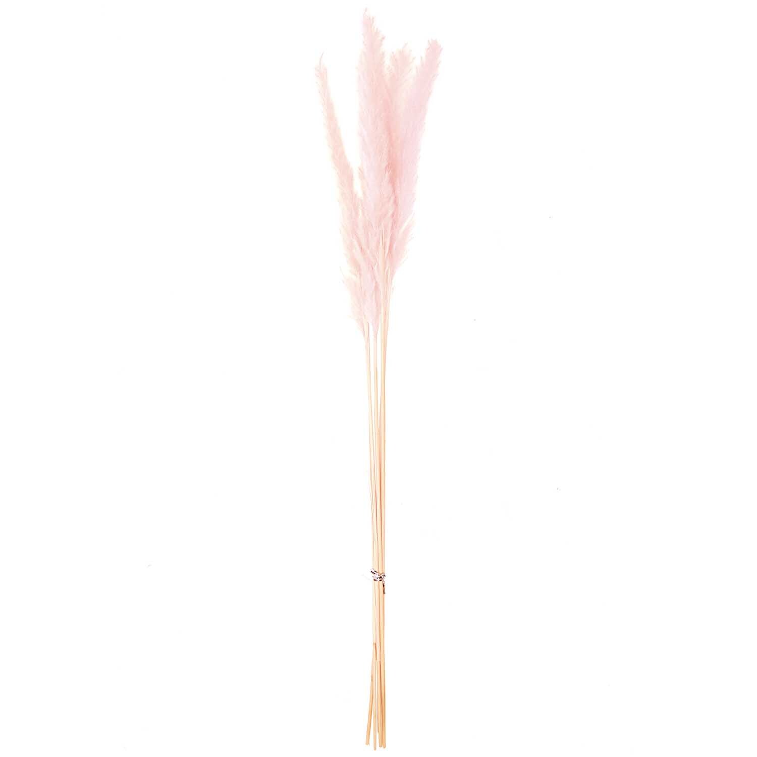 Getrocknetes Pampasgras pink 65-75cm 6 Stück von Rico Design Getrocknetes Pampasgras in zartem Rosa, 65-75 cm, 6 Stück von Rico Design, elegant arrangiert.