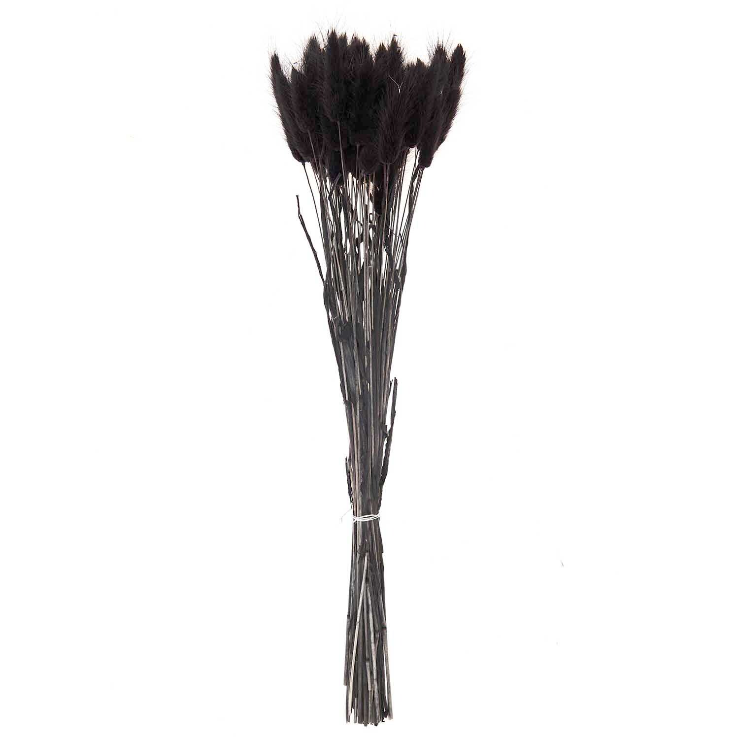 Getrockneter Lagurus schwarz ca. 40cm 50 Stück von Rico Design Getrockneter Lagurus schwarz ca. 40cm, 50 Stück von Rico Design. Eleganter Strauß schwarzer Trockenblumen.