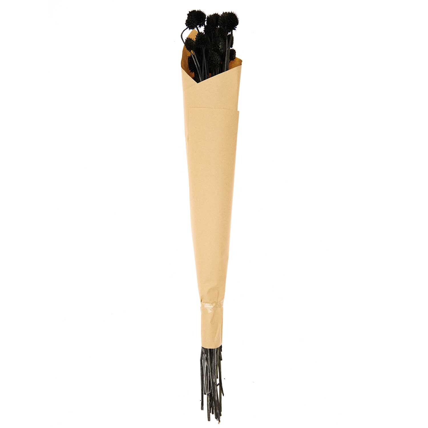 Getrocknete japanische Karde schwarz 60-75cm 50g von Rico Design