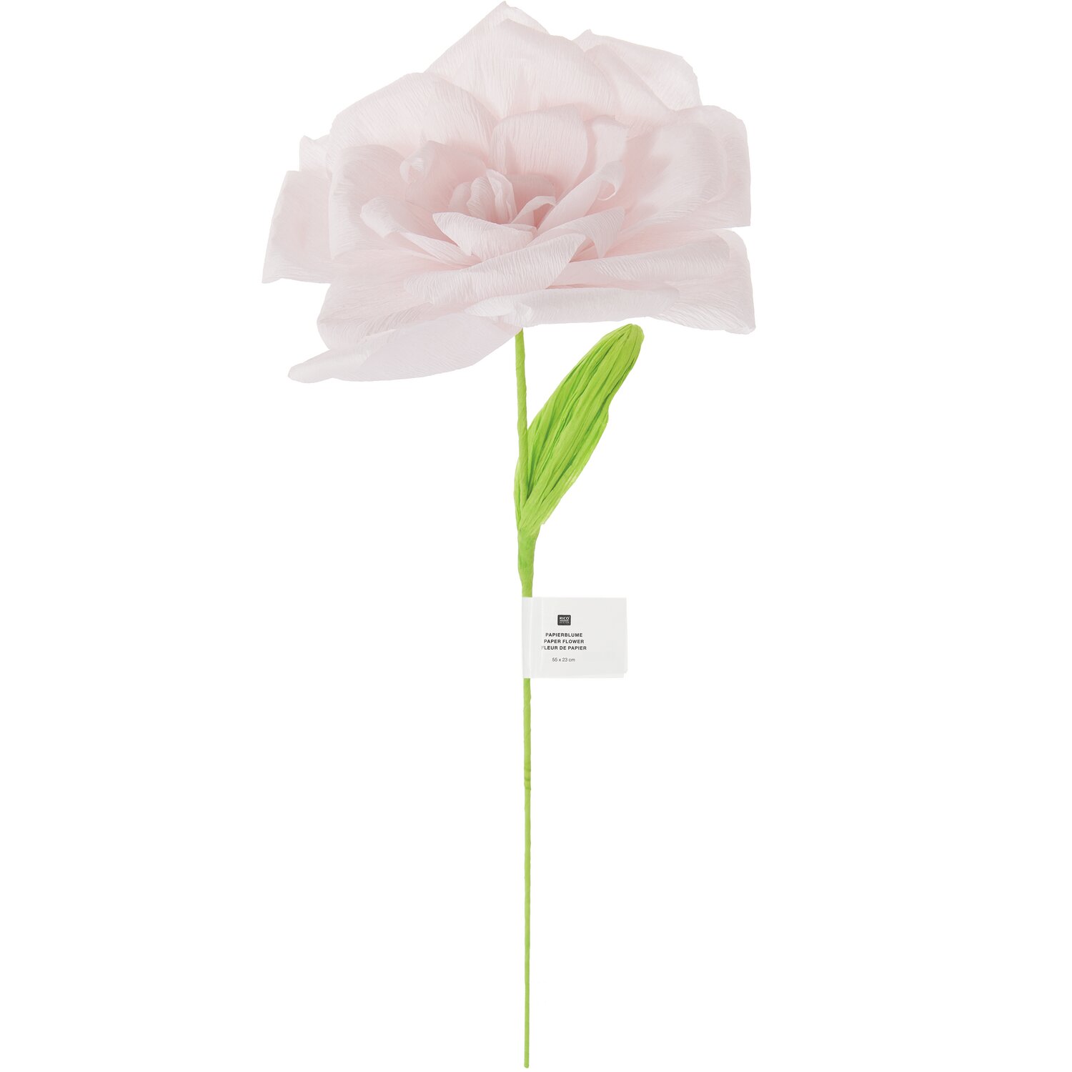 Papierblume Edelrose Rosé 55x23cm von Rico Design