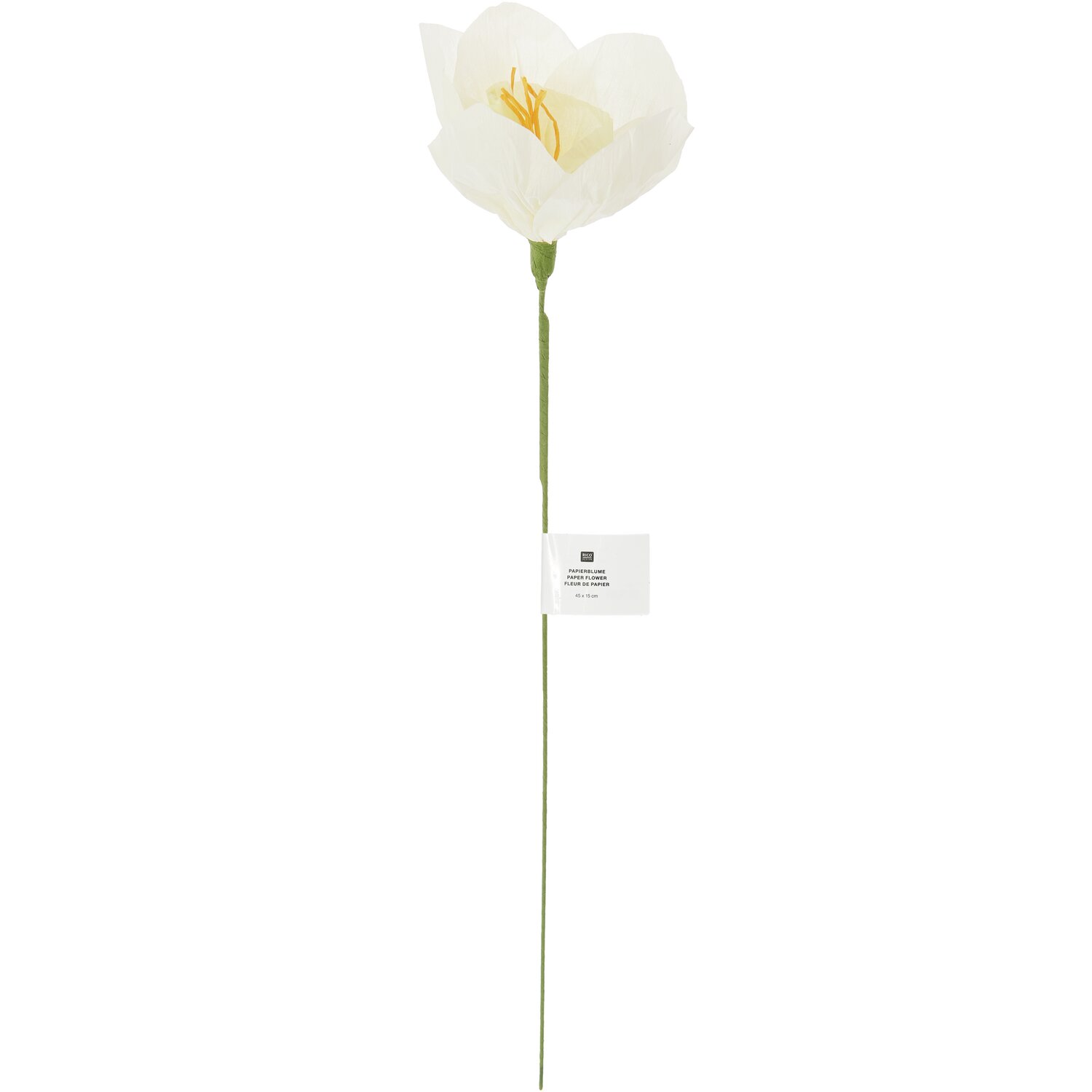 Papierblume Narzisse in Weiß-Grün von Rico Design, 45x15cm. Elegante Dekoration für Zuhause.