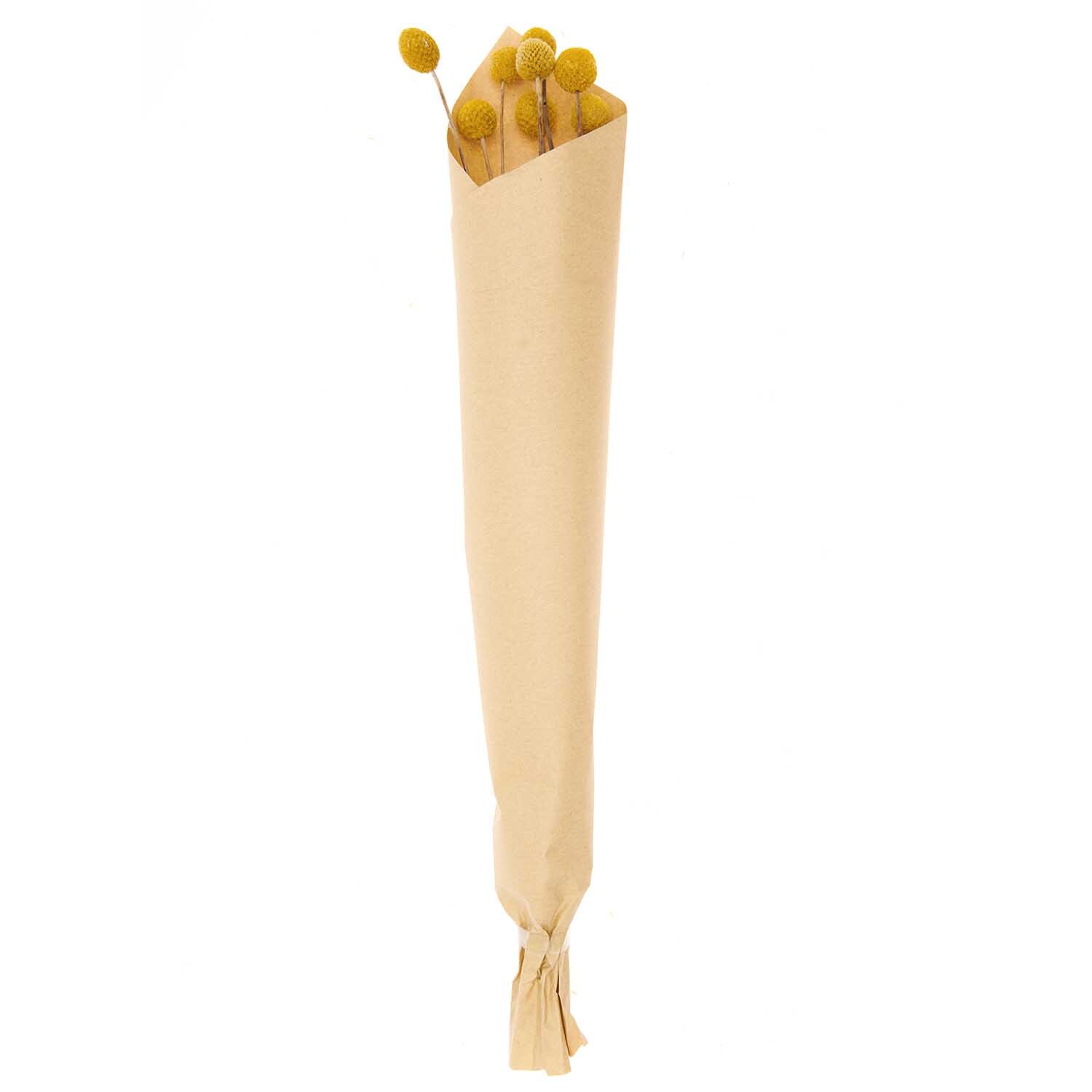 Getrocknete Craspedia gelb 50-60cm 10 Stück von Rico Design