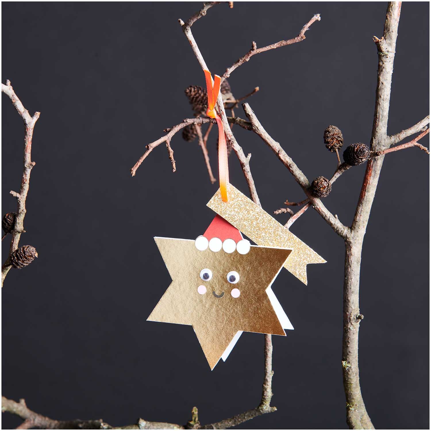 Paper Poetry Kärtchen mit Wackelaugen Stern A7/C7 von Rico Design
