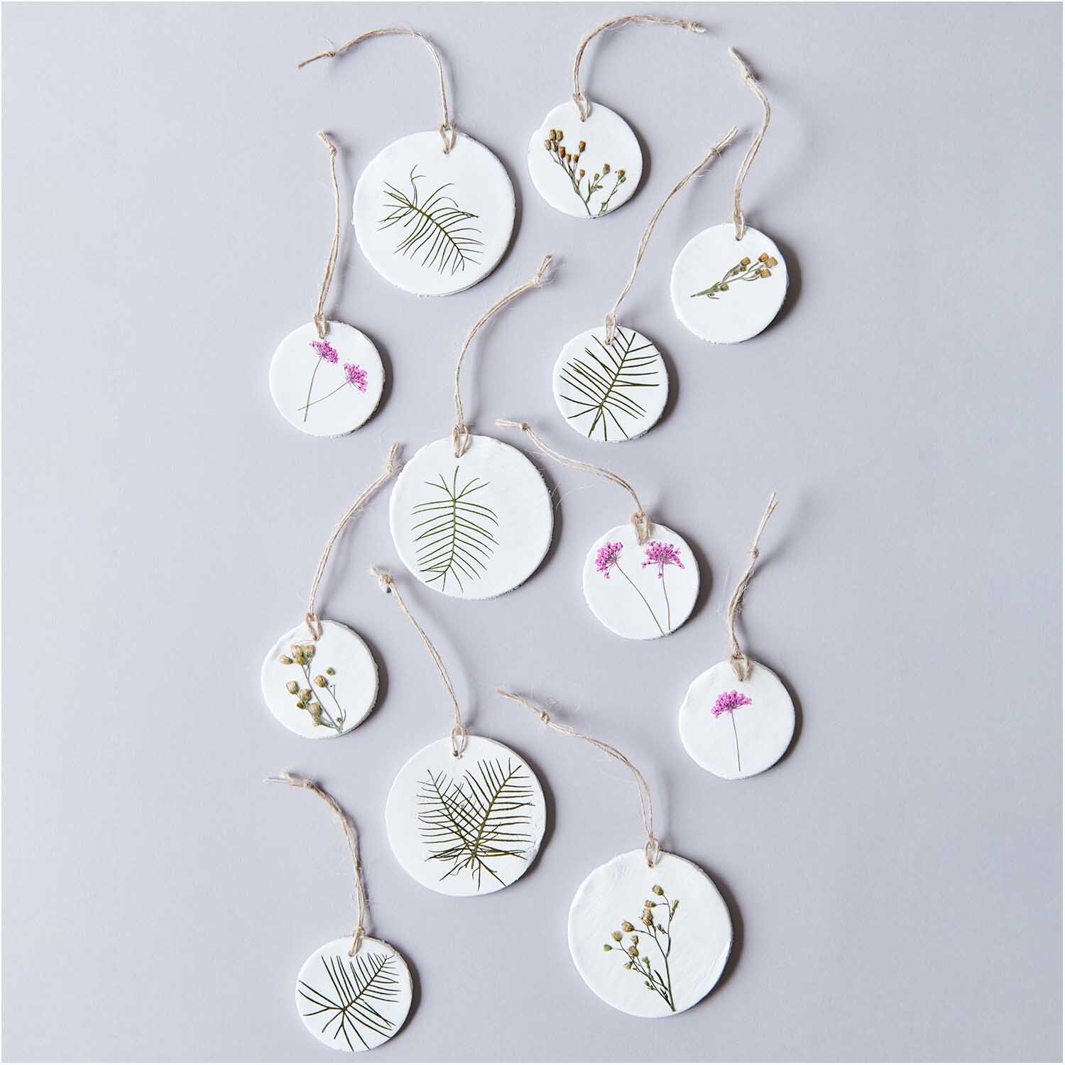 Gepresste Blüten Ammi pink 6 Stück von Rico Design Gepresste Blüten Ammi pink 6 Stück: Runde Anhänger mit gepressten Blüten und Blättern auf weißem Hintergrund.