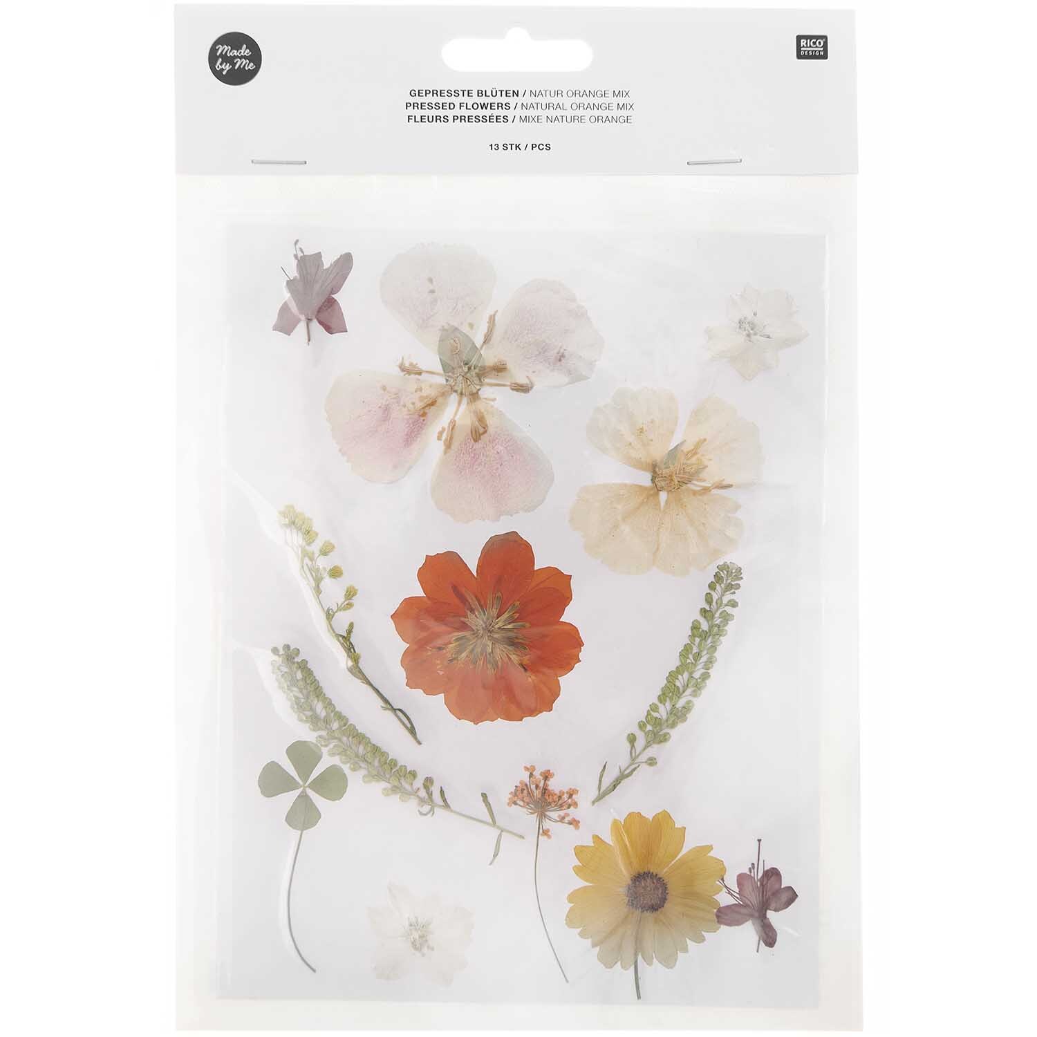Gepresste Blüten Mix Set gelb-beige 13 Stück von Rico Design