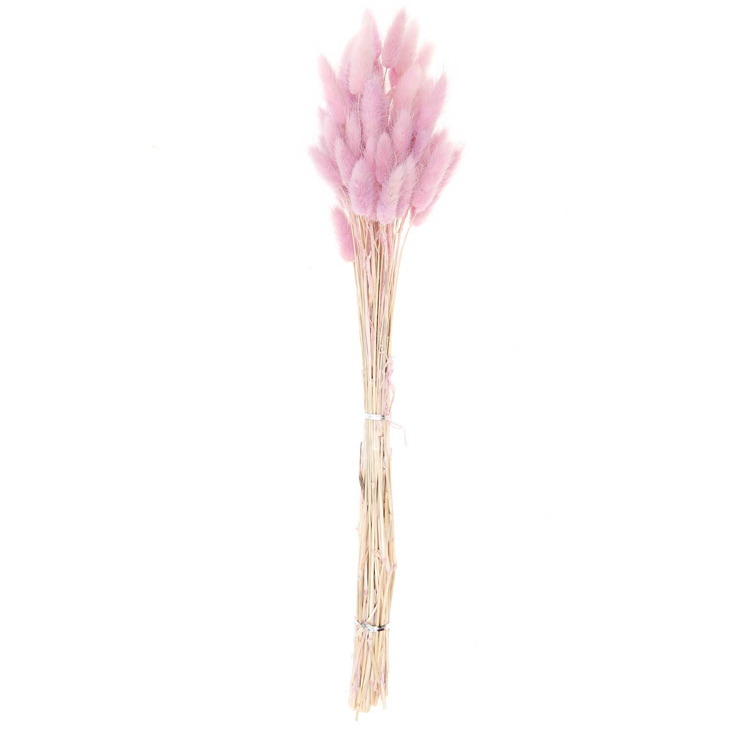 Getrockneter Lagurus flieder ca. 40cm 50 Stück von Rico Design Getrockneter Lagurus flieder ca. 40cm 50 Stück von Rico Design. Zartes, fliederfarbenes Trockenblumenbündel, ideal für Dekorationen.