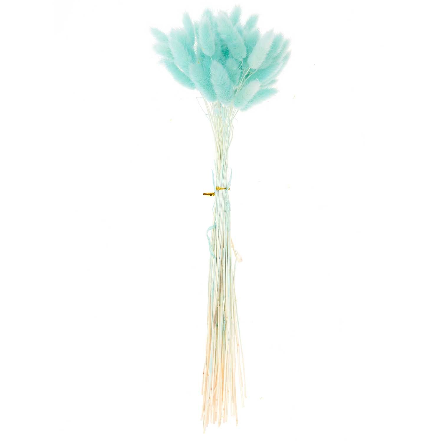 Getrockneter Lagurus türkis ca. 40cm 50 Stück von Rico Design Getrockneter Lagurus in türkis von Rico Design, ca. 40 cm, 50 Stück. Eleganter Strauß für Dekorationen.