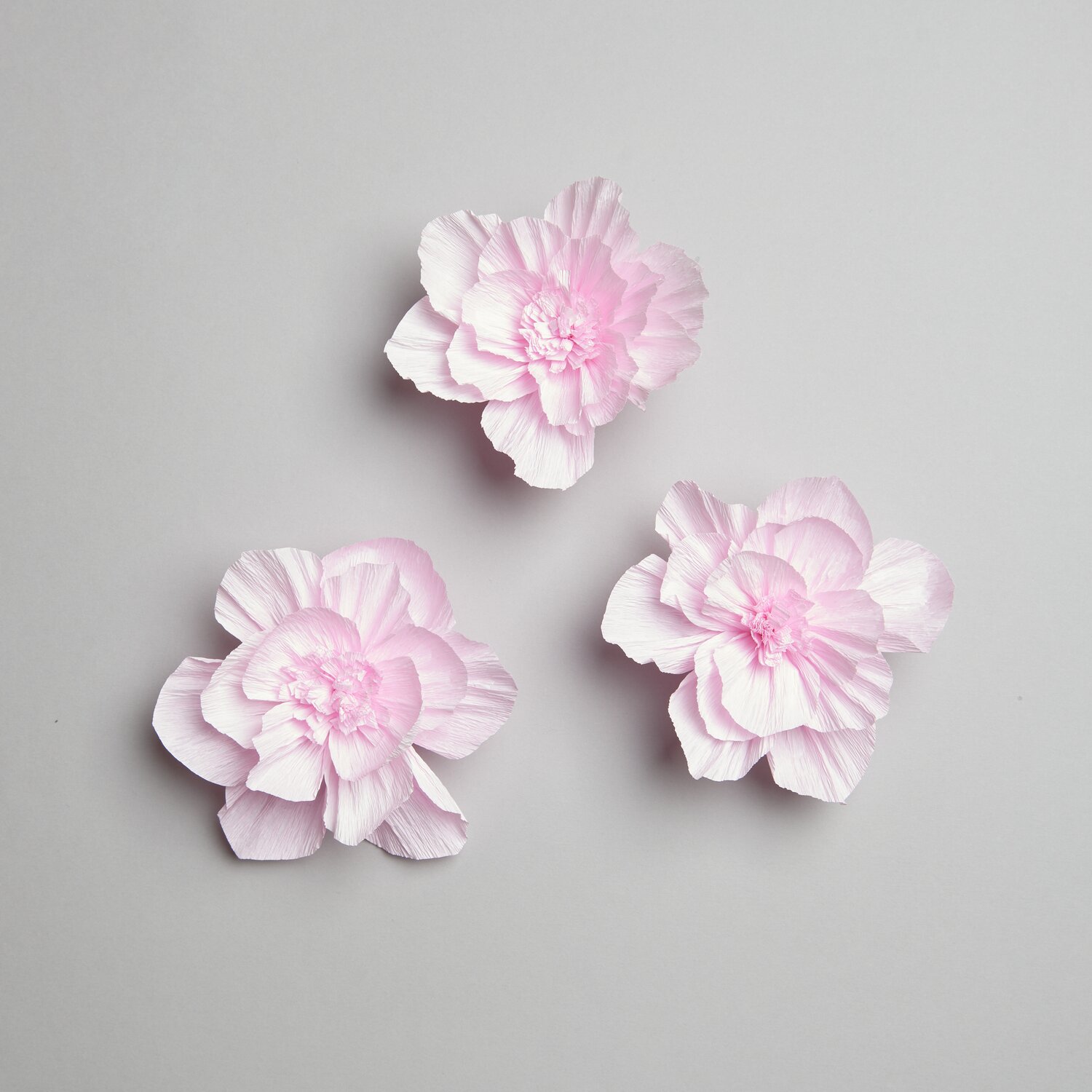 Krepppapier Blüten: Drei zarte, rosa Blüten aus Krepppapier von Rico Design, Ø12cm, auf grauem Hintergrund.