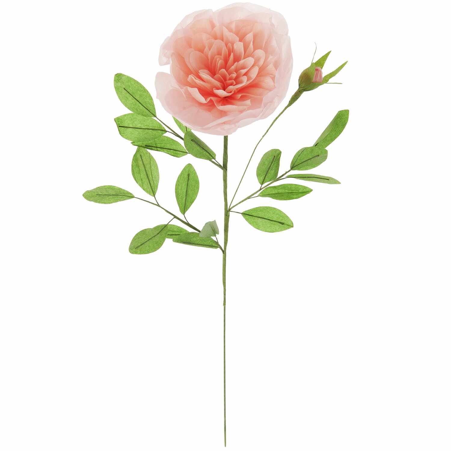 Papierblume Rose gefüllt Apricot von Rico Design, zeigt eine realistische apricotfarbene Blüte mit grünen Blättern, 53x15cm.