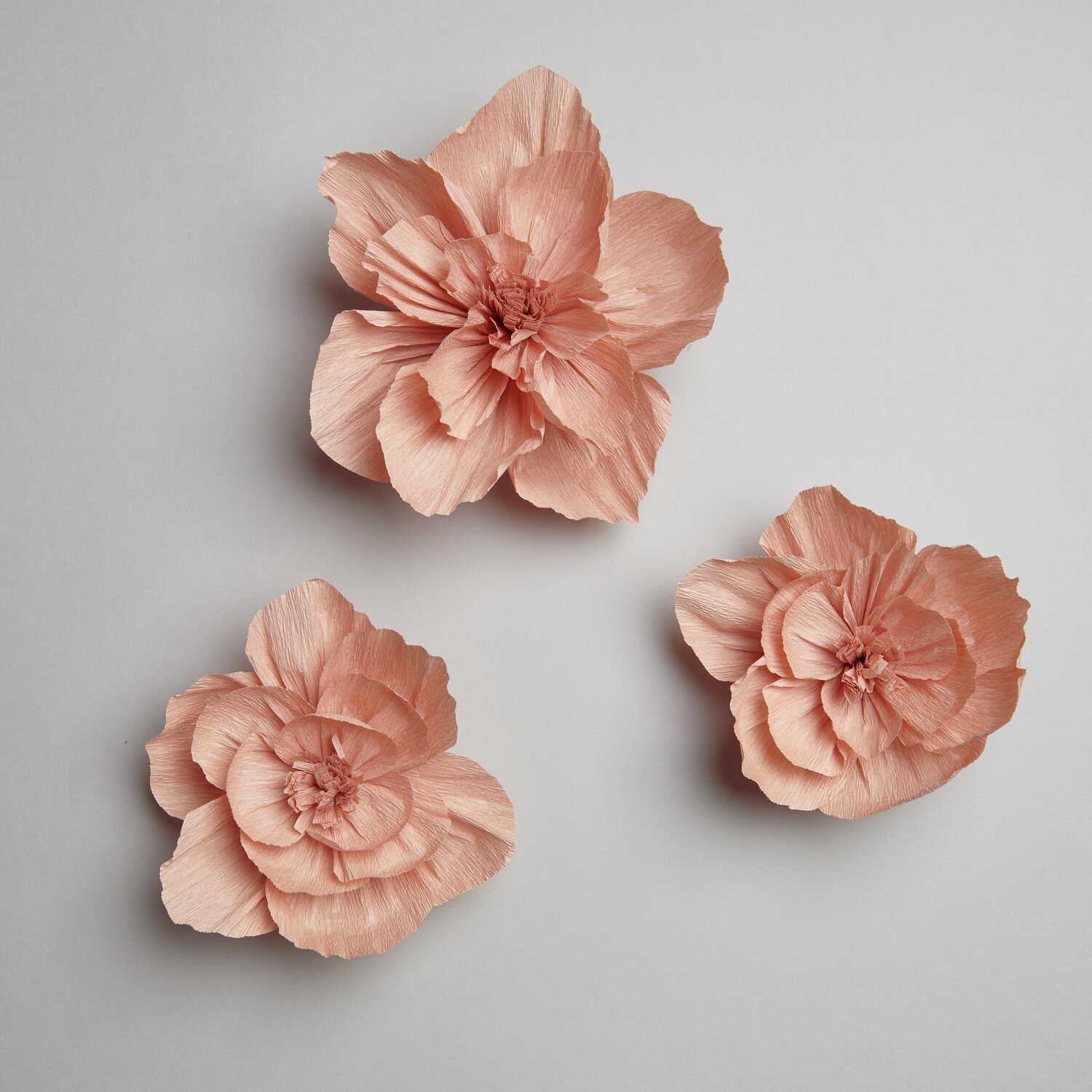 Krepppapier Blüten, 3 Stück in Terracotta von Rico Design, kunstvoll arrangiert auf grauem Hintergrund.