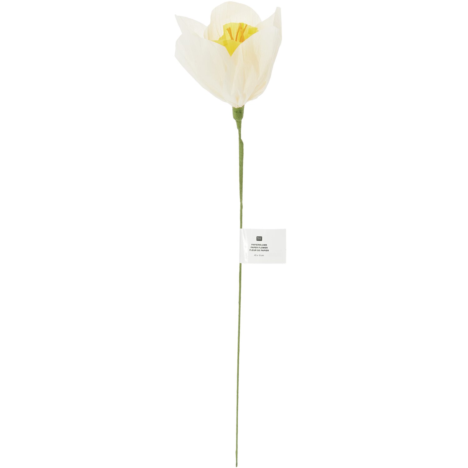 Papierblume Narzisse 45x15cm Farbe Weiß-Gelb von Rico Design Papierblume Narzisse, weiß-gelb, von Rico Design. Elegante Dekoration, 45x15cm groß.