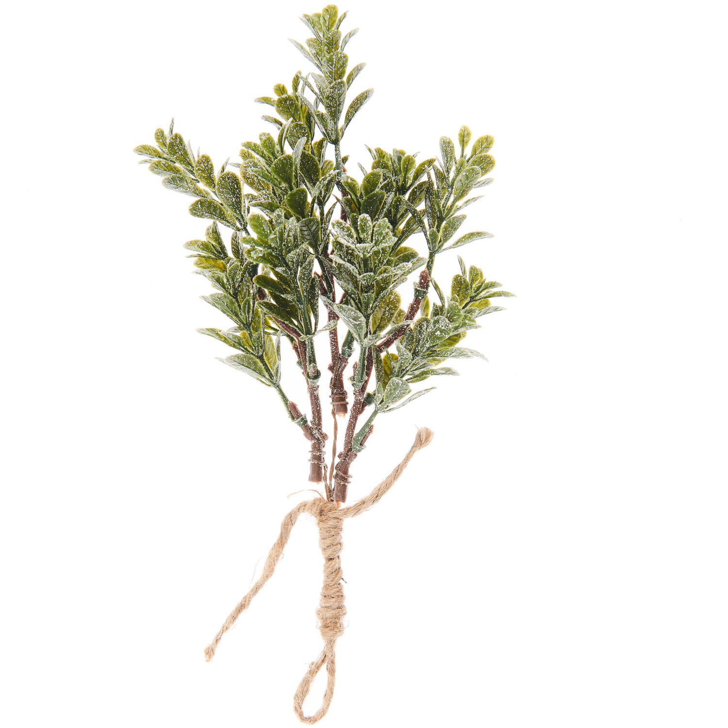 Blätterzweig-Bund geeist: Dekorativer Zweig mit frostigem Look, ideal für winterliche Arrangements.
