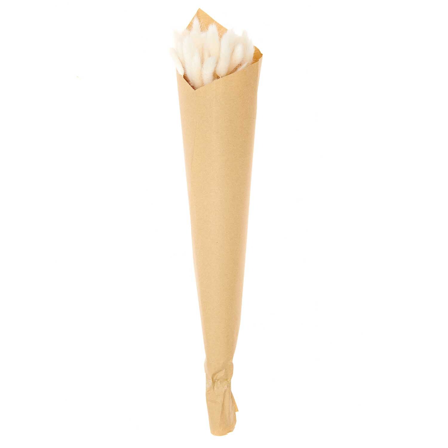 Getrockneter Lagurus weiß ca. 40cm 50 Stück von Rico Design