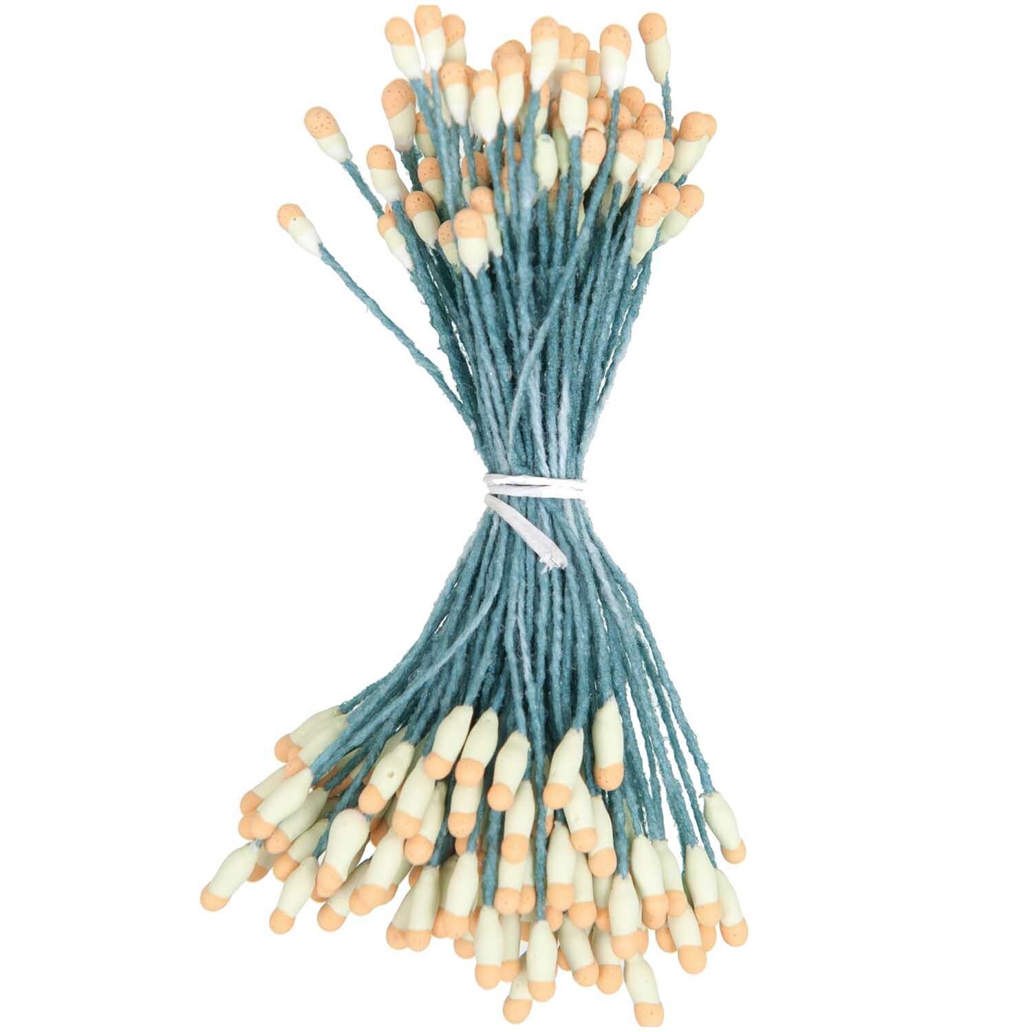 Blütenstempel 6cm 100 Stück Farbe Grün/Orange von Rico Design Blütenstempel 6cm 100 Stück von Rico Design in Grün und Orange, gebündelt mit weißen Spitzen.
