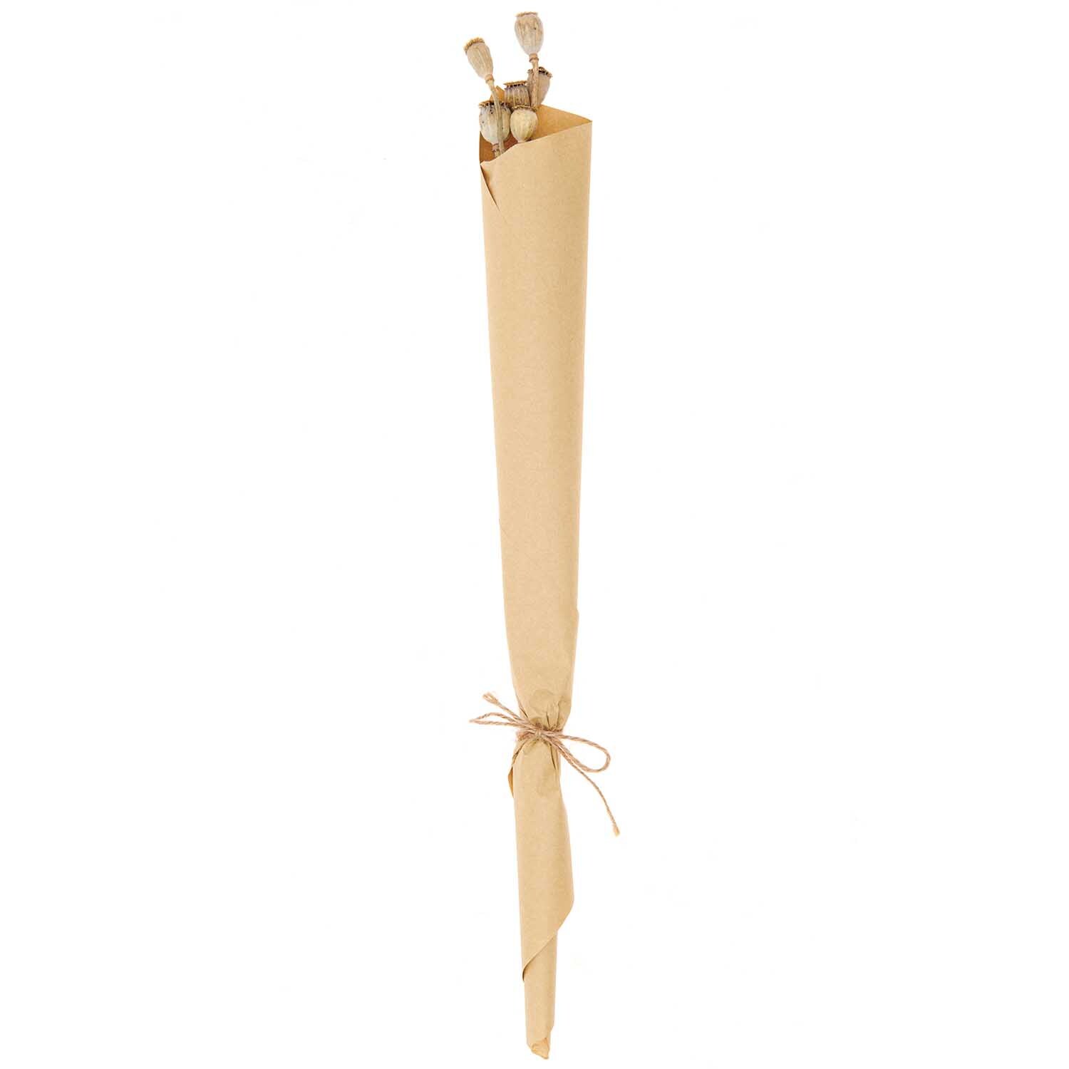 Getrocknete Mohnkolben ca. 40cm 6 Stück von Rico Design