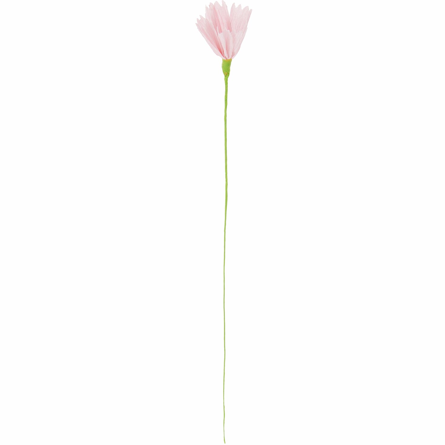 Papierblume Nelke von Rico Design in zartem Rosa, 44x3,5cm, mit langem grünen Stiel und filigranen Blütenblättern.