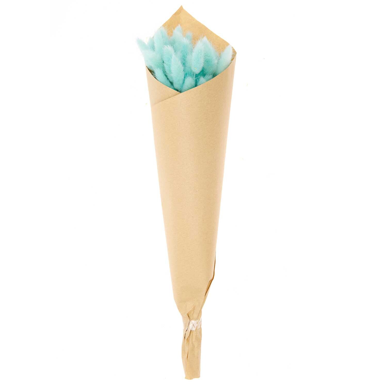 Getrockneter Lagurus türkis ca. 40cm 50 Stück von Rico Design