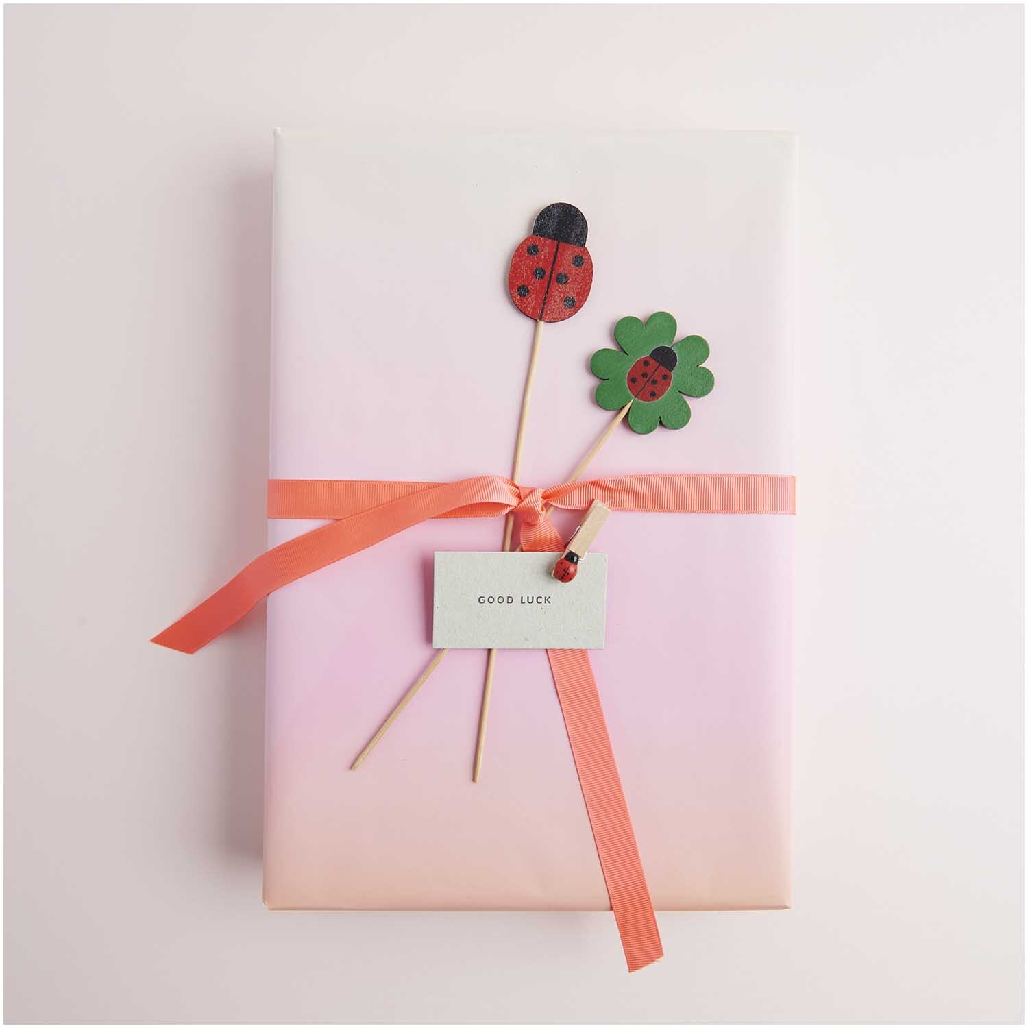 Holzklammern Marienkäfer 12 Stück von Rico Design Holzklammern Marienkäfer 12 Stück von Rico Design: Geschenkverpackung mit Marienkäfer und Kleeblatt auf rosa Hintergrund.